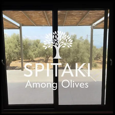 Villa Spitaki Among Olives *