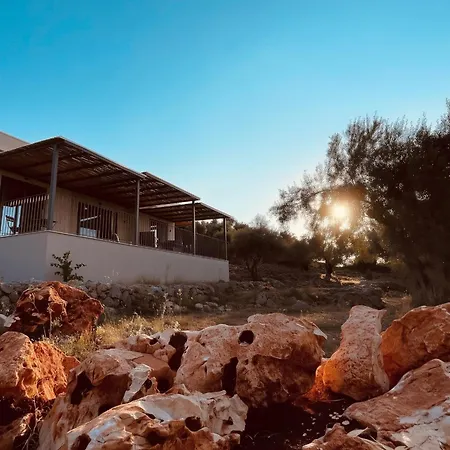 Villa Spitaki Among Olives