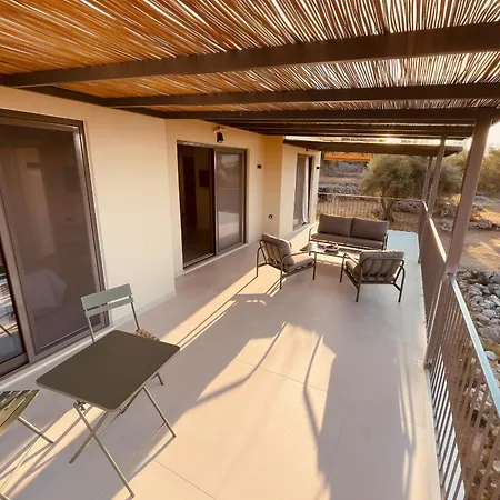 Spitaki Among Olives