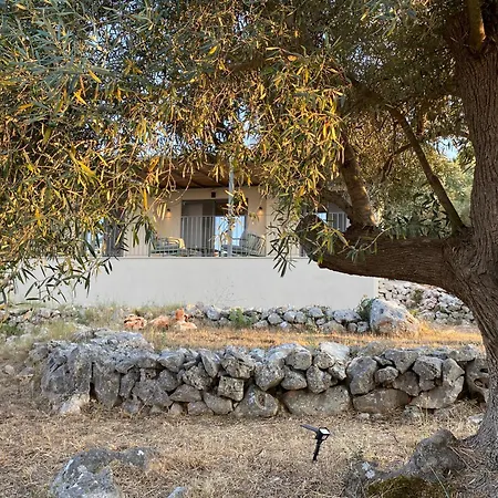 Spitaki Among Olives Villa
