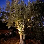 Spitaki Among Olives Villa *