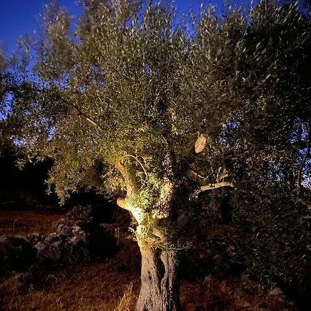 Spitaki Among Olives Villa *