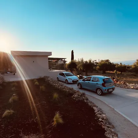 Spitaki Among Olives