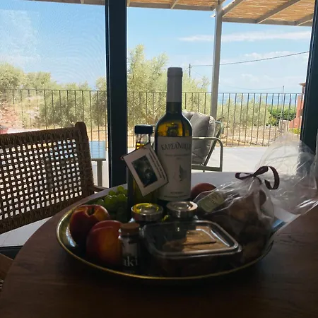 Villa Spitaki Among Olives *