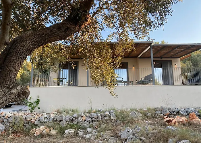 Spitaki Among Olives 빌라