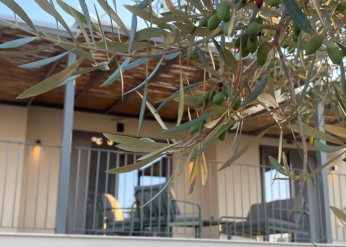 Spitaki Among Olives * Tsoukaládhes