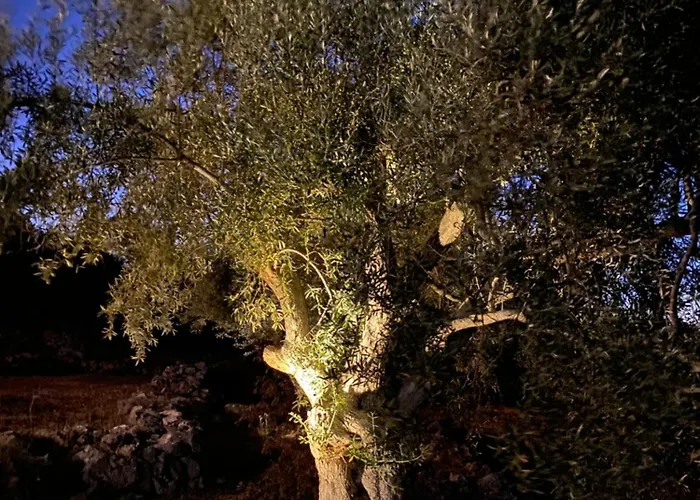 Spitaki Among Olives 빌라 *