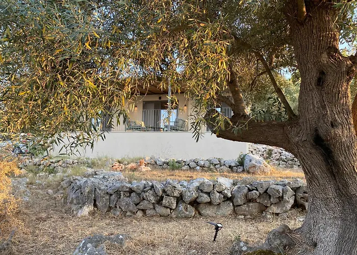 Spitaki Among Olives 빌라