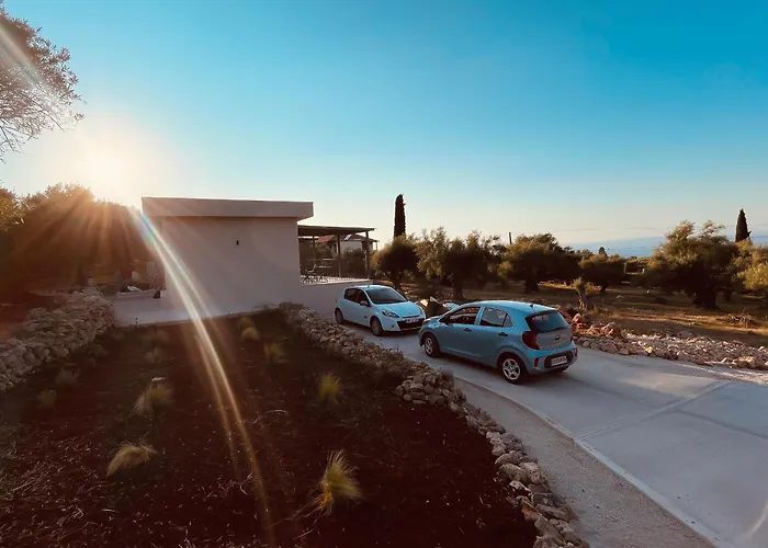 Spitaki Among Olives